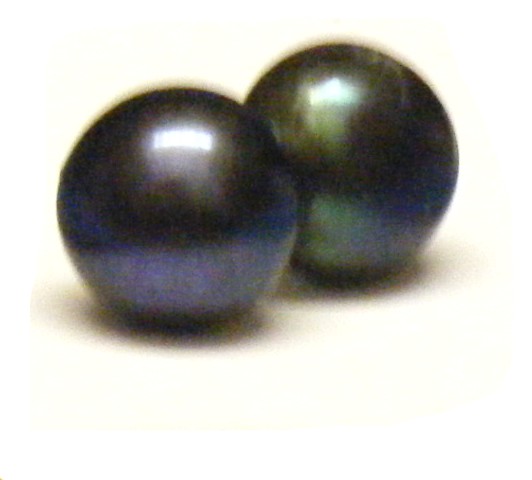 Blue or Green Black 11-11.5mm Pearl Button Stud Earrings